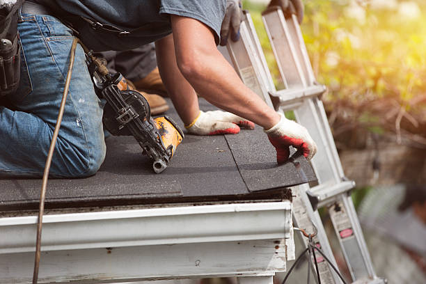 Best Metal Roofing Contractor  in Columbus, NC